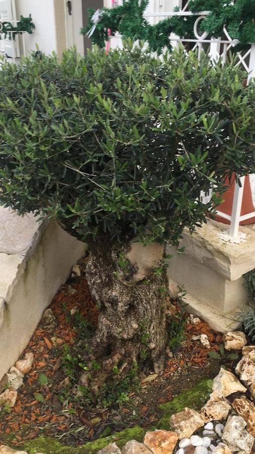 Bed and Breakfast Il Casale Di Gio Neapol Zewnętrze zdjęcie